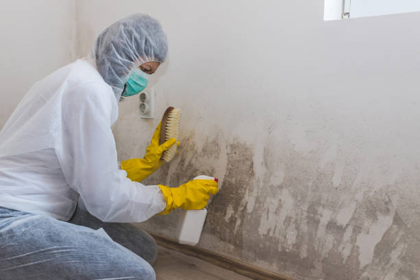 Best Asbestos and Lead Testing During Mold Inspection  in Gaffney, SC